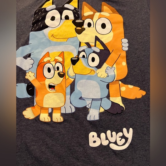Bluey Other - ⛱️ Bluey  T shirt Size Large